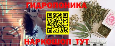 соль ск Гагарин