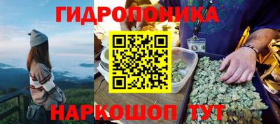 соль ск Гагарин