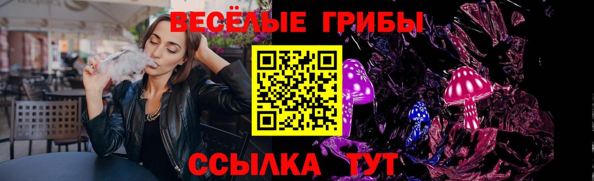 даркнет сайт  Псилоцибиновые грибы Psilocybe  Вход с VPN  Находка 